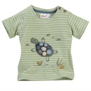 Camisetas bebe algodon eco