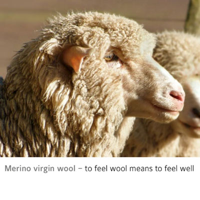 Woolove Leggings térmicos de 100% lana merina para hombre, de peso medio,  absorben la humedad, clima frío