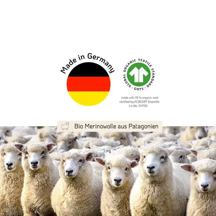 certificado-engel.webp