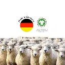 certificado-engel.webp