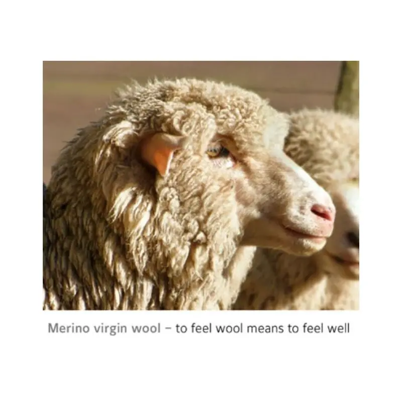 lana-merino-organica-blaugab