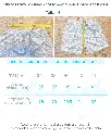 Guía de tallas Blaugab (8).webp