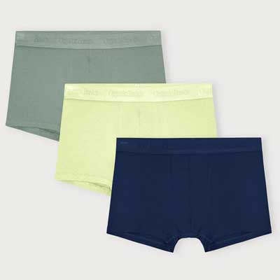 Pack de 3 bòxers de cotó orgànic Fluor