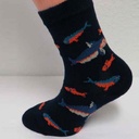 Organic cotton sock Sharks