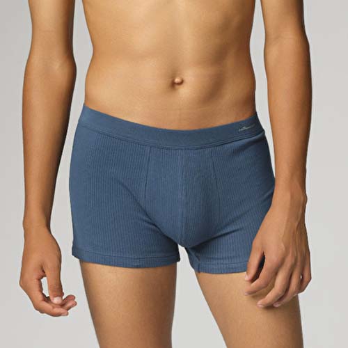 Sweet summer organic cotton boxer